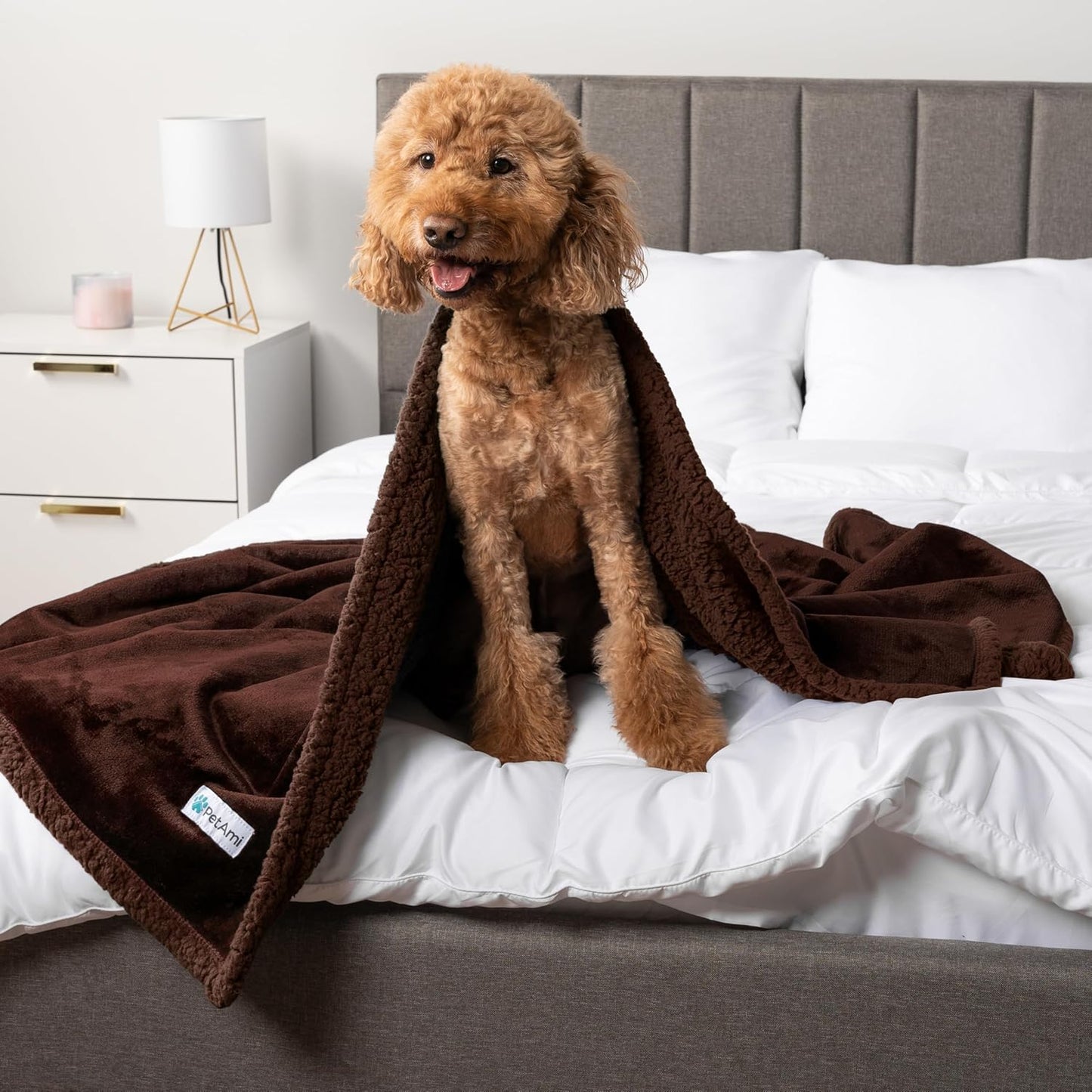 WATERPROOF Dog Blanket for Bed & Couch, XL Sherpa Fleece Leakproof Bed Blanket for Crate & Kennel, Reversible Soft Plush 80X60 Brown