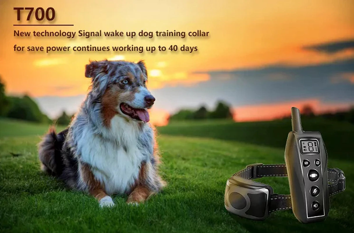 650 YD Remote Dog Training Shock Collar Waterproof for Small Medium Large Dogs